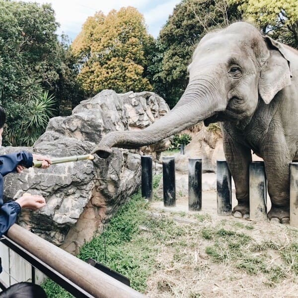たいむクラブ